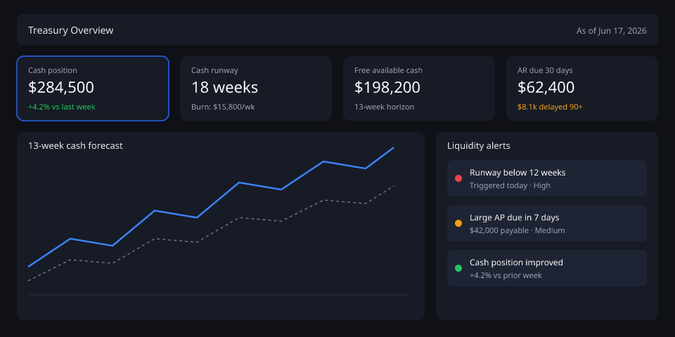 Liqvia treasury dashboard preview
